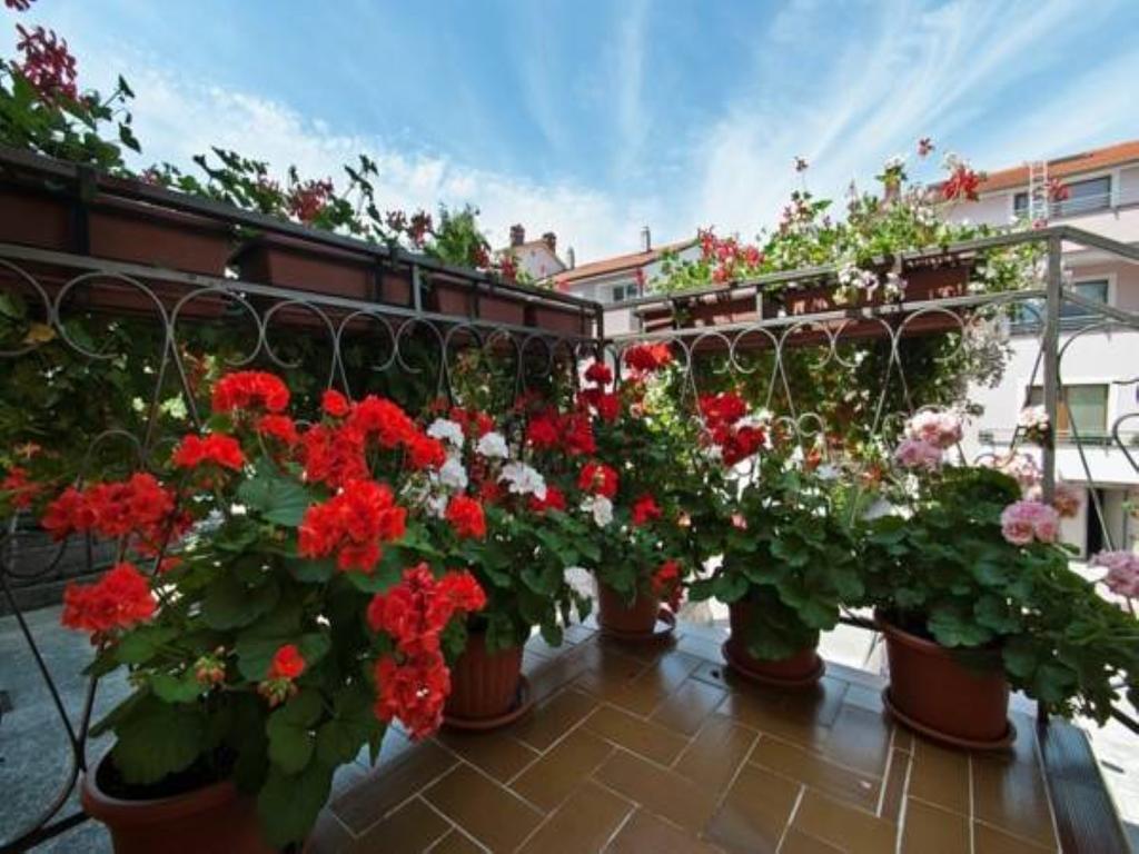 Apartments Elda Rovinj Extérieur photo